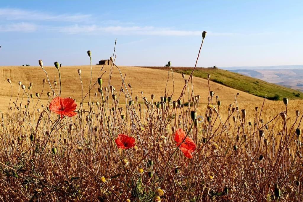 Casa Santa Maria - Beautifully Restored House In Centro Storico Basilicata Puglia * Irsina
